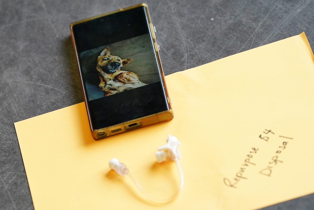 A personal phone shows a photo of the researcher's dog alongside the medical equipment they are dissecting