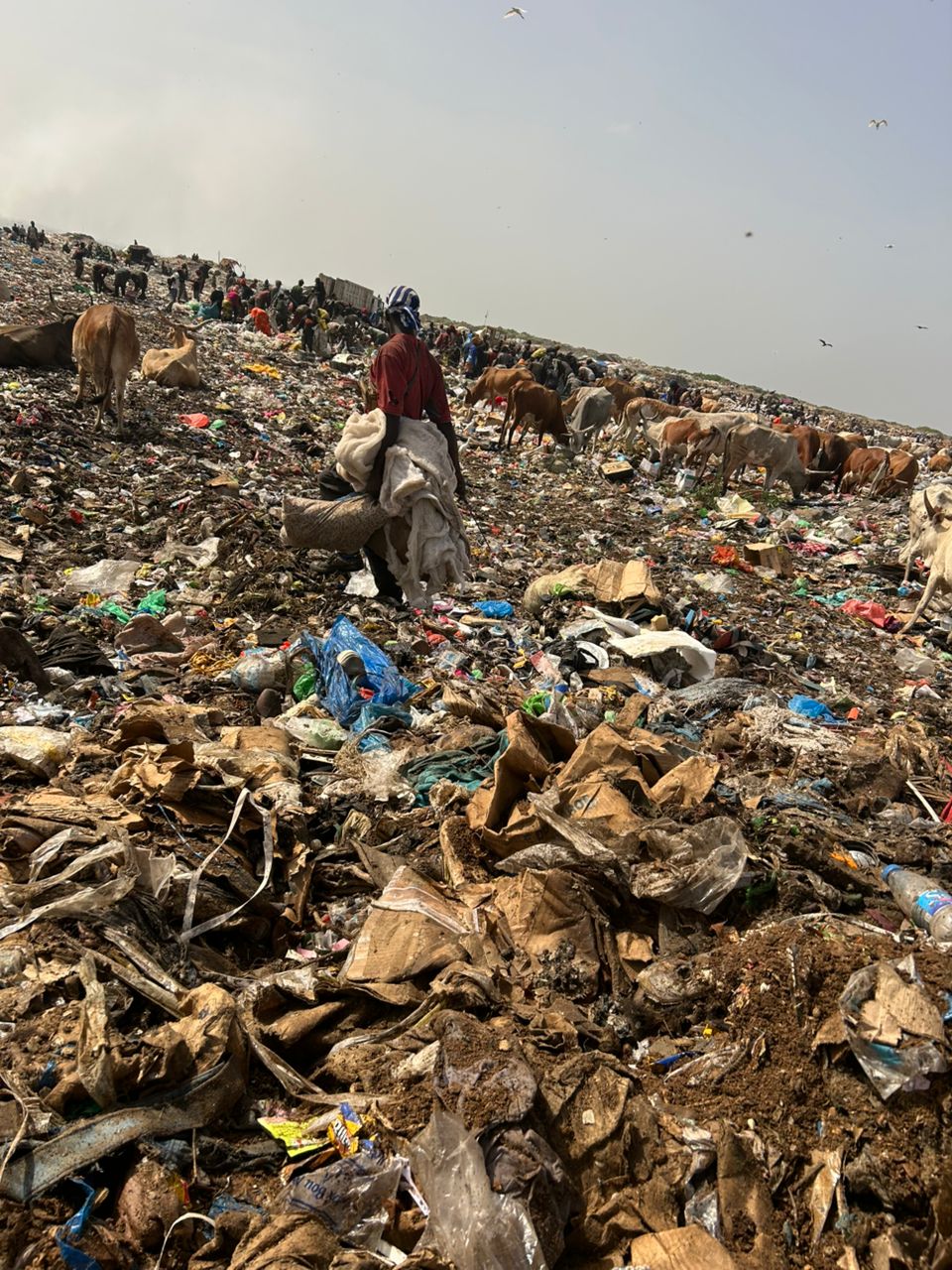Photo taken on the Mbeubeuss platform across the dumpsite. 
