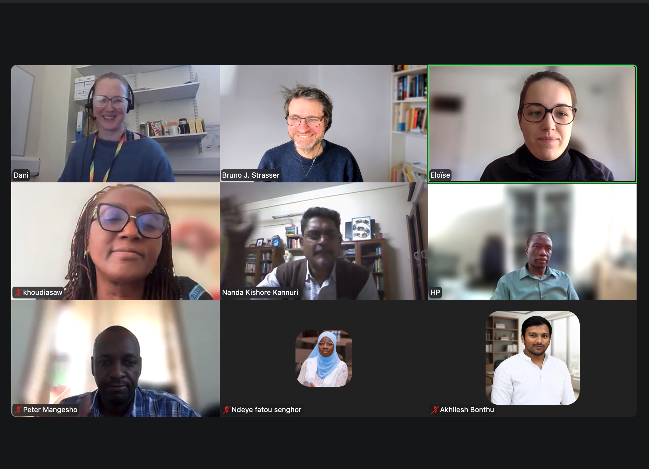 A screenshot of a Zoom call between the participants of the Research Cluster.