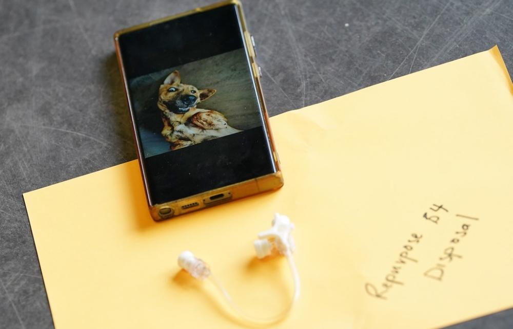 A personal phone shows a photo of the researcher's dog alongside the medical equipment they are dissecting