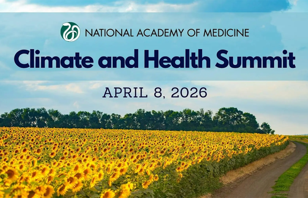 Graphic of yellow sunflowers and a rural road running through it. 